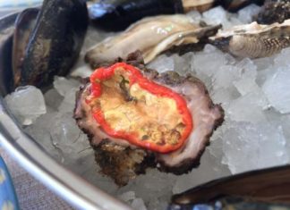 Conoscete il limone di mare? Una prelibatezza culinaria, scopriamo di cosa si tratta! limone di mare