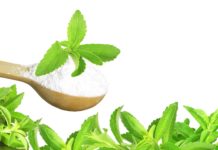 Stevia, il dolcificante naturale con zero calorie. Scopri le sue proprietà