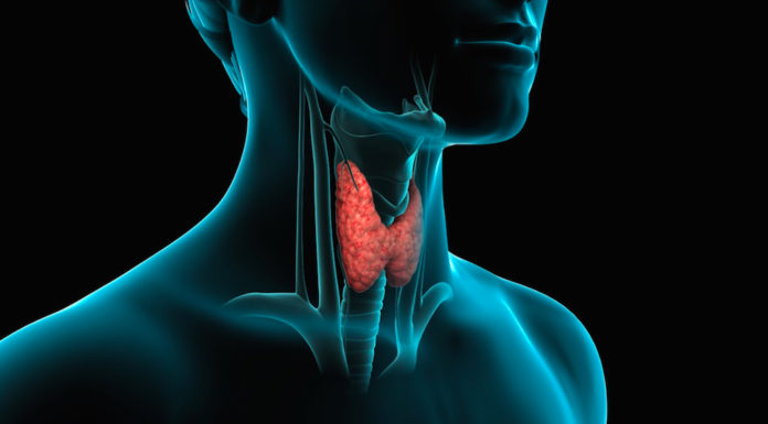 Problemi di tiroide? Ecco i cibi da mangiare e da evitare