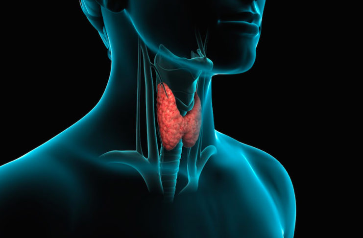 Problemi di tiroide? Ecco i cibi da mangiare e da evitare