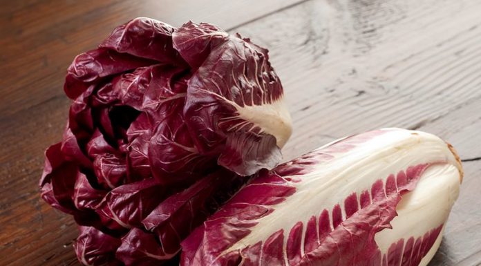 radicchio