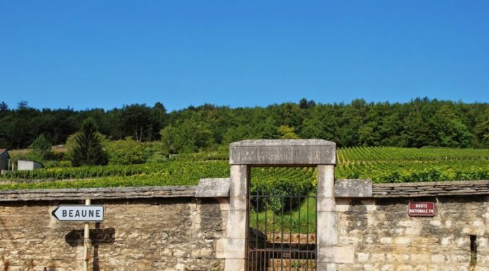 beaune Borgogna Orizzonti