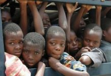 Il lato nero del cioccolato: sfruttamento minorile e scomparsa delle foreste in Africa