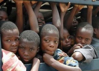 Il lato nero del cioccolato: sfruttamento minorile e scomparsa delle foreste in Africa