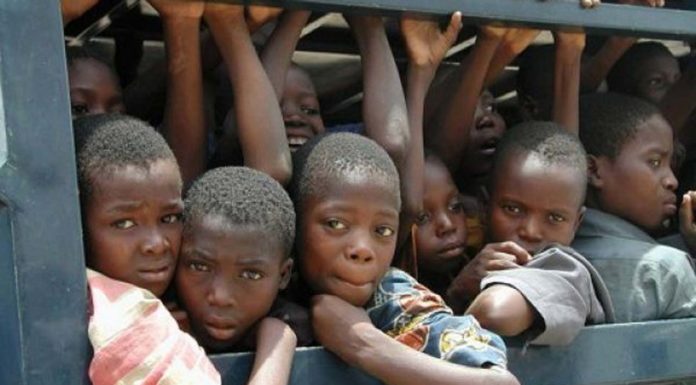 Il lato nero del cioccolato: sfruttamento minorile e scomparsa delle foreste in Africa