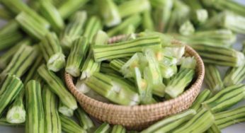 La Moringa, il superfood del momento contro la stanchezza e l’invecchiamento
