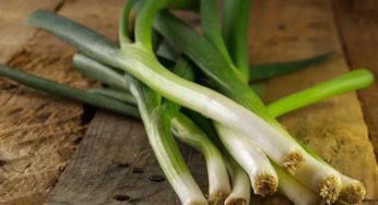 I porri: ottimi alleati per tenersi in forma durante l’inverno