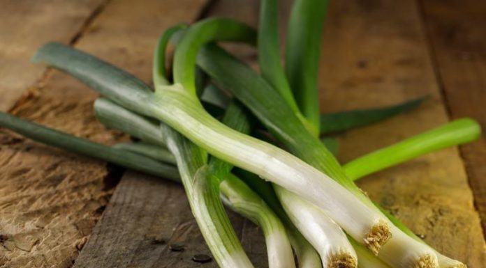 I porri: ottimi alleati per tenersi in forma durante l’inverno porri