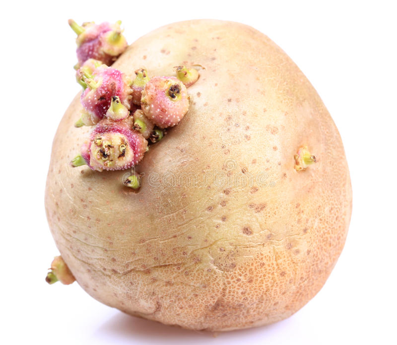 Quanto Produce Un Ettaro Di Patate
