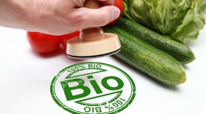 Bio o falso Bio? Ecco come riconoscere un vero prodotto biologico Bio o falso Bio? Ecco come riconoscere un vero prodotto biologico