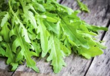 rucola