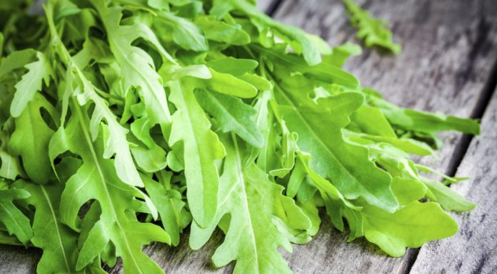 Rucola: proprietà terapeutiche, nutritive e afrodisiache! rucola