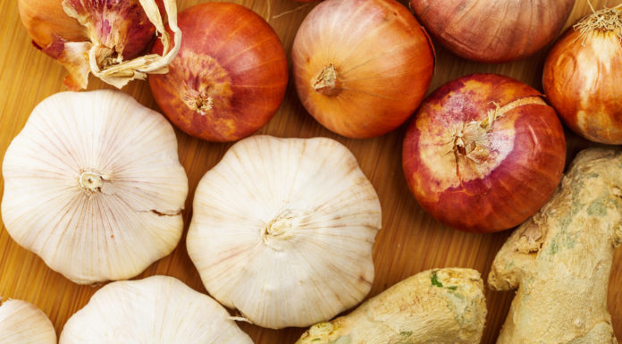 Sai che esiste un antibiotico naturale che aiuta il nostro sistema immunitario? Sai che esiste un antibiotico naturale che aiuta il nostro sistema immunitario?