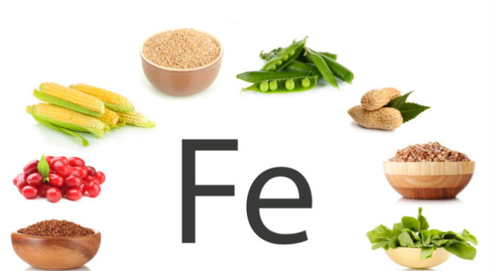 Alimenti vegetali ricchi di ferro