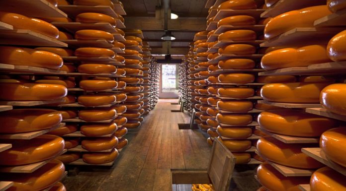 cheese valley