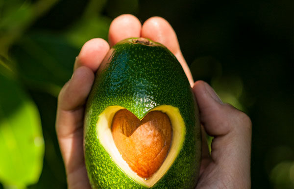 Avocado