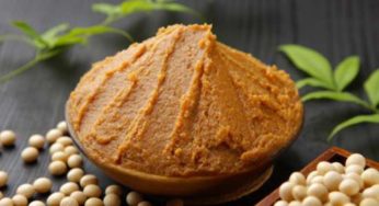 Che cos’è il miso? Ricco di proprietà nutrizionali scopriamo come usarlo in cucina!