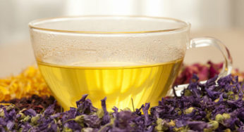 Tisana alla Malva: un ottimo rimedio per regolare l’attività intestinale e con proprietà antinfiammatorie