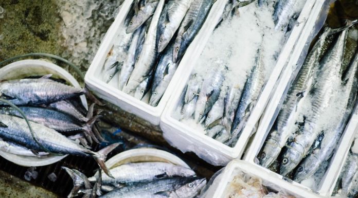 pesce ripieno al forno