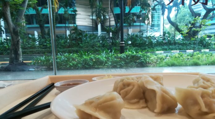 ravioli cinesi al vapore