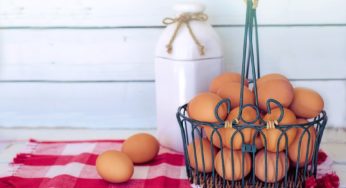 Mangiare un uovo al giorno fa bene o fa male?
