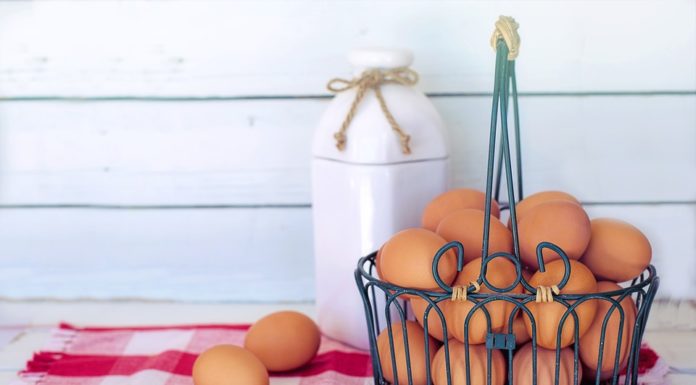 Mangiare un uovo al giorno fa bene o fa male?