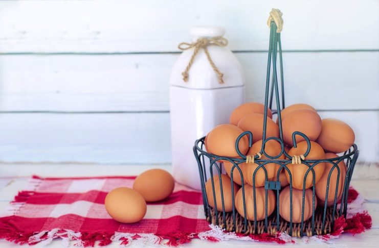 Mangiare un uovo al giorno fa bene o fa male?