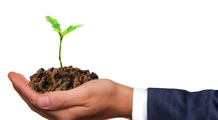 alimenti senza conservanti