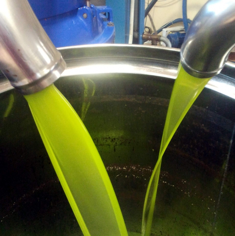 Come riconoscere un buon olio extra vergine d'oliva