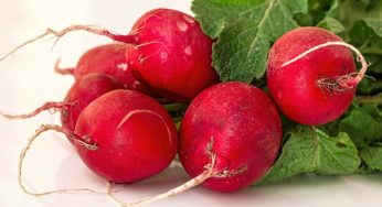 Scopri le proprietà dei ravanelli, disintossicanti naturali. Prova la ricetta!