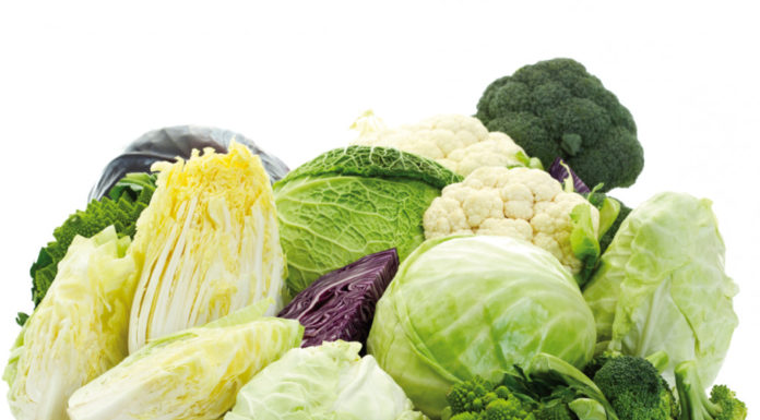 verdure cotte a vapore