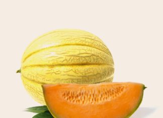 come scegliere un buon melone?