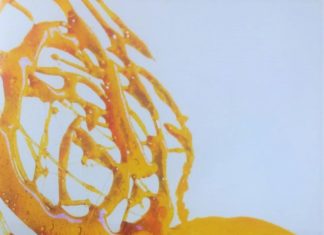 Cheesecake Arancia e Cannella, un delizioso connubio tra aspro e dolce Cheesecake Arancia e Cannella