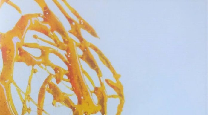 Cheesecake Arancia e Cannella