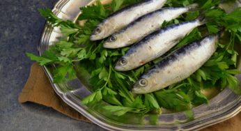 Prepara con noi le sarde in salsa di pomodoro!