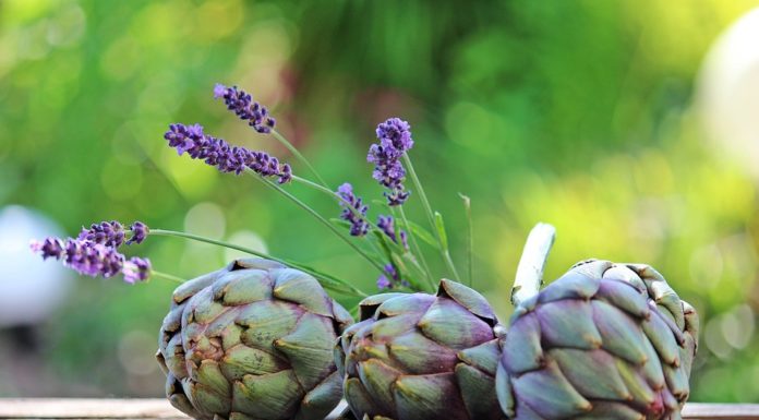 proprietà dei carciofi