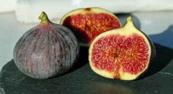 I fichi, frutti dell’eros. Scopri le sue proprietà e i benefici