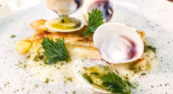 Lupini di mare con asparagi bianchi, ortiche e burro alla mela verde di Kevin Feragotto