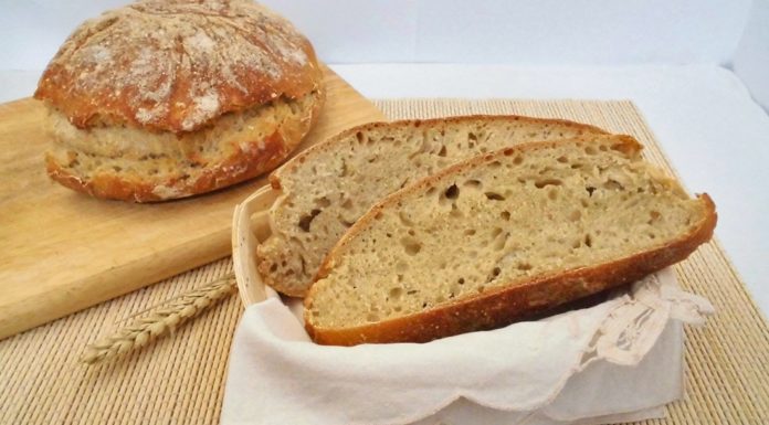 pane rustico con bimby