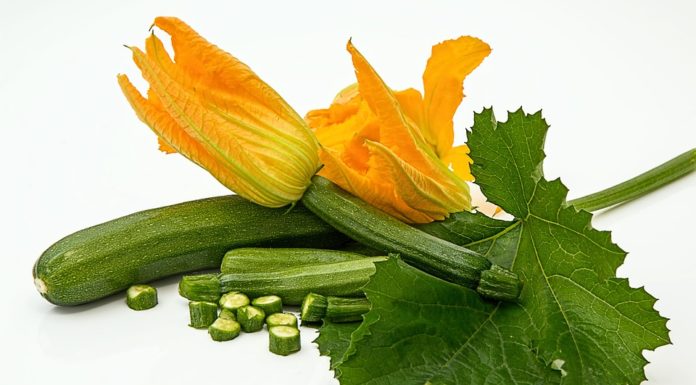 zucchine