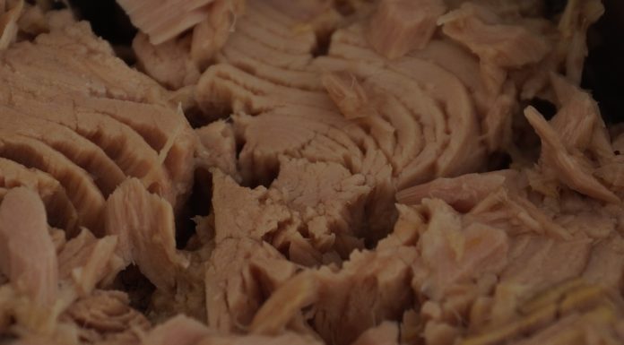 Polpettone di tonno e fagiolini