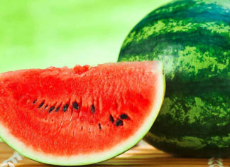 cocomero