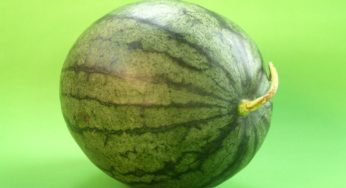 Sai come scegliere il cocomero maturo al punto giusto? Segui i nostri consigli!