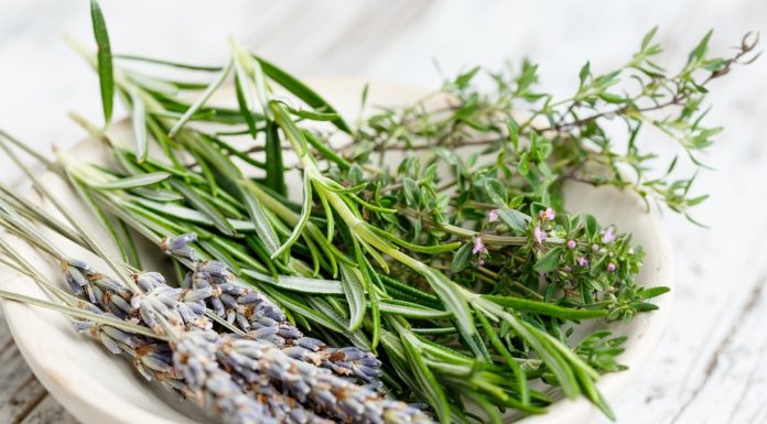 risotto alla lavanda