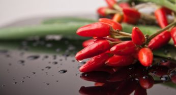 Mangiare piccante fa bene alla salute. Scopri tutti i benefici
