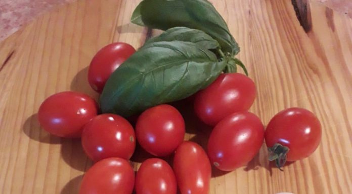 Spaghetti con pomodorini , basilico, aglio e peperoncino