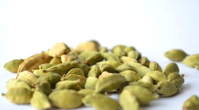 cardamomo