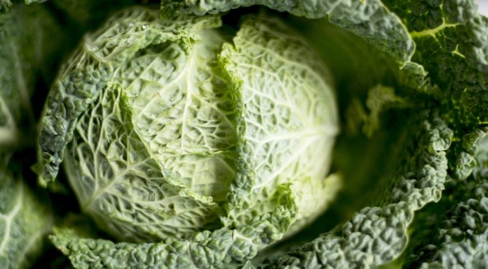 verdura a foglia verde