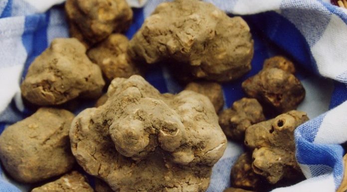 polenta tartufata con cuore di merluzzo