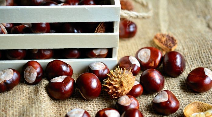 ricette con le castagne